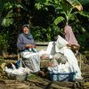 Local Artisans